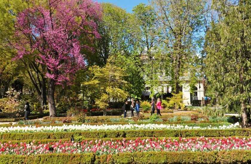 باغ گیاهشناسی سلطنتی (Royal Botanical Garden)