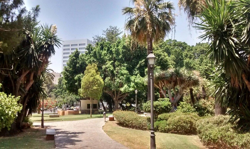 باغ های پیکاسو