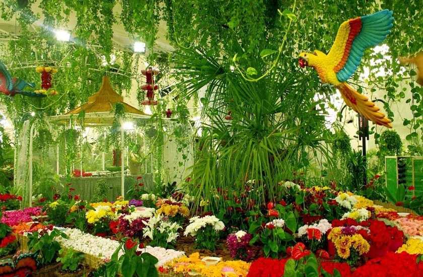 باغ پروانههای دبی (Dubai Butterfly Garden)