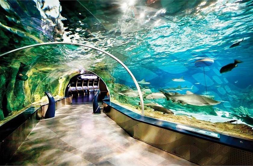 آکواریوم استانبول (Istanbul Aquarium)
